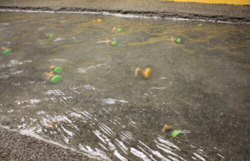 Holzbaustrukturen Modellversuch Emme