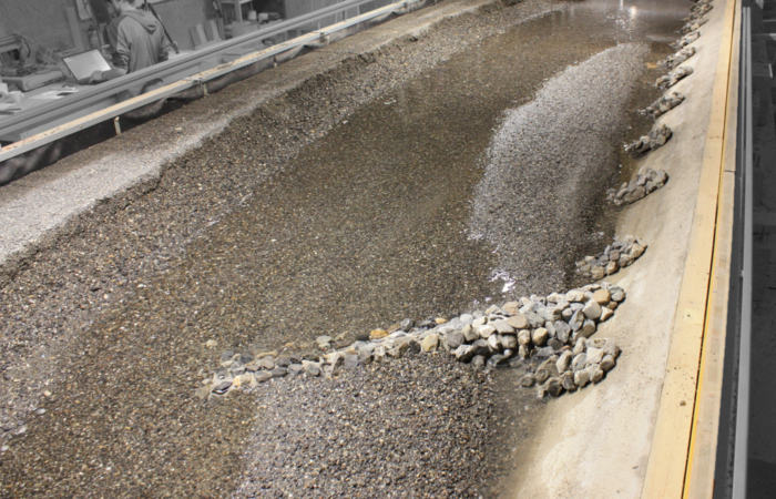 Lenkbuhne Flussaufweitung Sense Haupt Ingenieure GmbH Lenkbuhne / Haupt Ingenieure GmbH