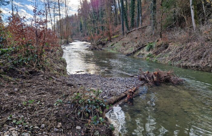 Lenkbuhne_Limpachkanal Foto Haupt Ingenieure Lenkbuhne Haupt Ingenieure Labor